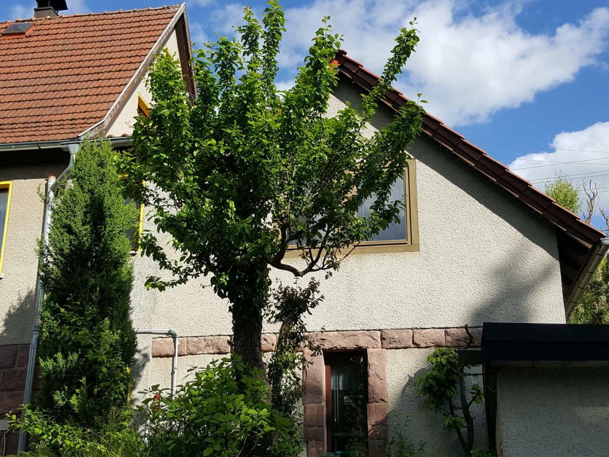 Ferienhaus Am Kirchberg Kurort Steinbach-Hallenberg Extérieur photo