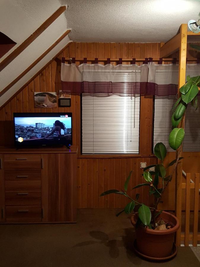 Ferienhaus Am Kirchberg Kurort Steinbach-Hallenberg Extérieur photo