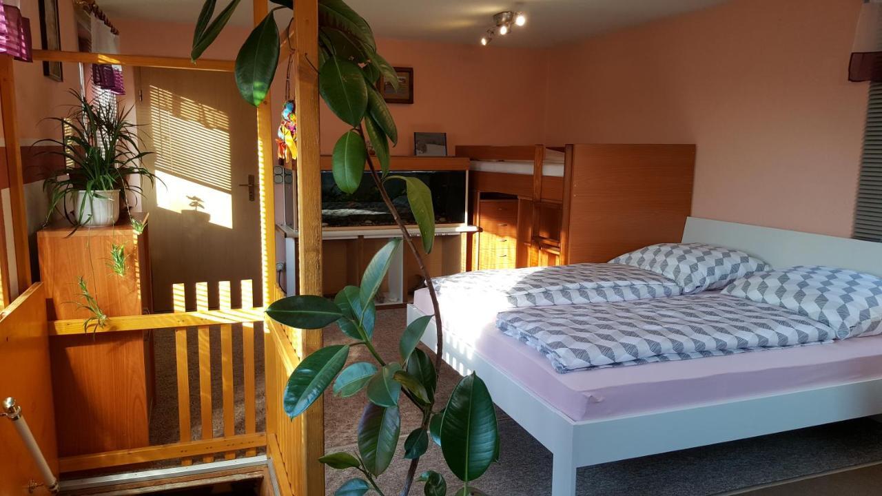 Ferienhaus Am Kirchberg Kurort Steinbach-Hallenberg Extérieur photo